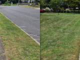 sidewalk_2
