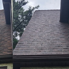 Roof Cleaning System 4