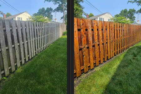 Fence Cleaning